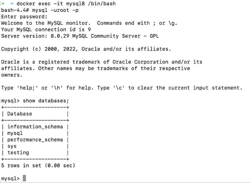 Docker command - docker exec example Docker command - docker exec example