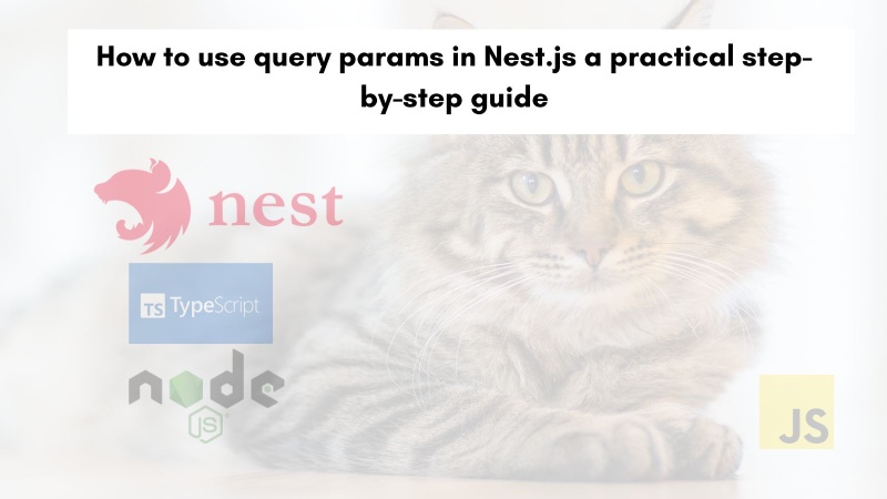 How to use query params in Nest.js a practical step-by-step guide How to use query params in Nest.js a practical step-by-step guide