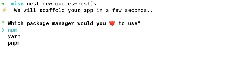 Select npm as the package manager for Nest.js project scaffolding Select npm as the package manager for Nest.js project scaffolding