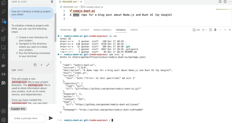 Duet AI (Cloud Code) on VS Code helping to initialize a Node.js project with NPM Duet AI (Cloud Code) on VS Code helping to initialize a Node.js project with NPM