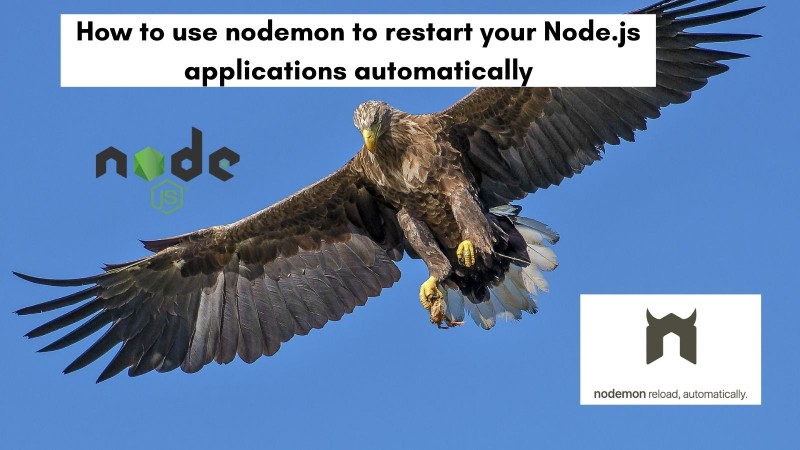 How to use nodemon to reload applicaitons automatically How to use nodemon to reload applicaitons automatically