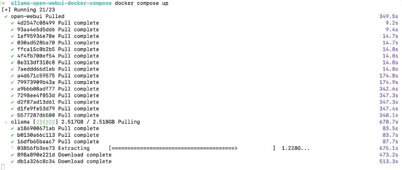 Pulling GBs of data for Ollama and Open WebUI Docker Images