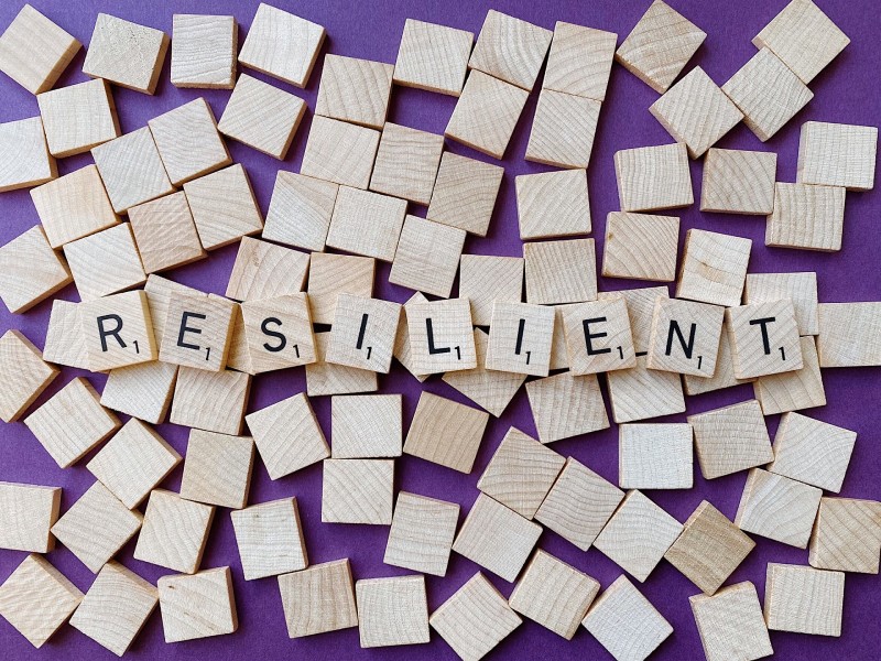 Software resilience factors to consider Software resilience factors to consider to heal from the unexpected